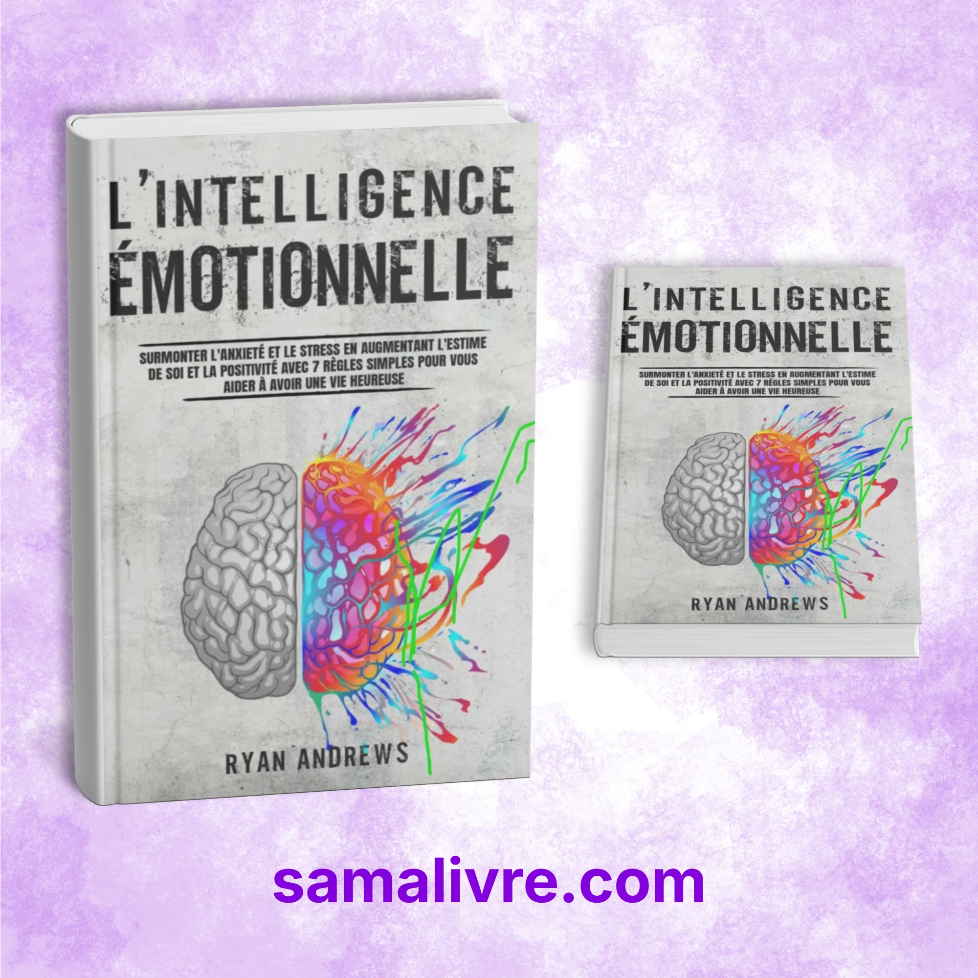 L'Intelligence émotionnelle